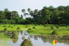 images-3