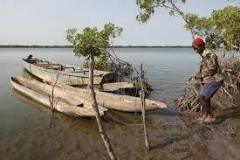 images-4