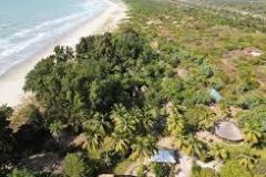 images-6
